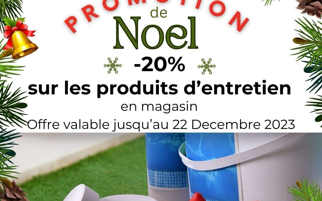 Promotion de Noel 2023